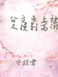 公交车上被陌生人摸到高潮