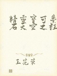 精灵宝可梦绿宝石天空之柱怎么走