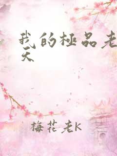 我的极品老婆吴天