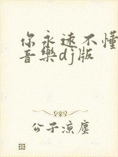 你永远不懂我纯音乐dj版
