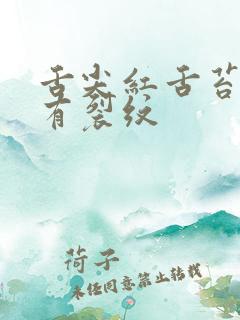 舌尖红舌苔黄腻有裂纹