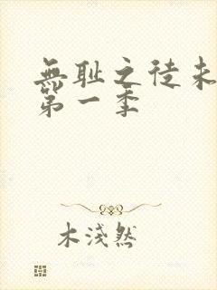 无耻之徒未删减第一季