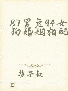 87男兔94女狗婚姻相配好吗