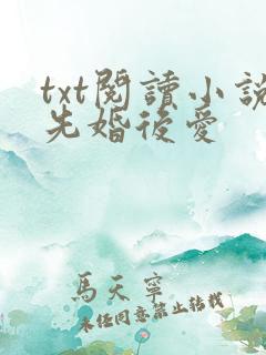 txt阅读小说先婚后爱