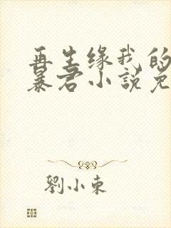 再生缘我的温柔暴君小说免费阅读