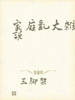 家庭乱大杂烩小说