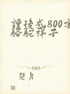 读后感800字骆驼祥子