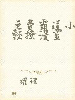 免费霸道小叔请轻撩漫画