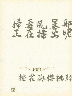 扫毒风暴哪个台正在播出呢