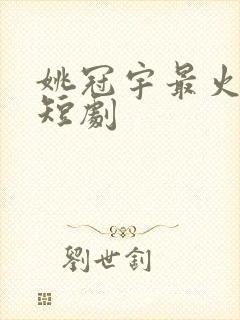 姚冠宇最火十部短剧