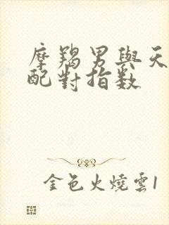 摩羯男与天蝎女配对指数