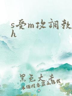 s受m攻调教高h