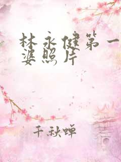林永健第一任老婆照片