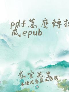 pdf怎么转换成epub