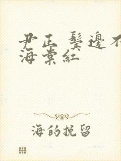 尹正 鬓边不是海棠红