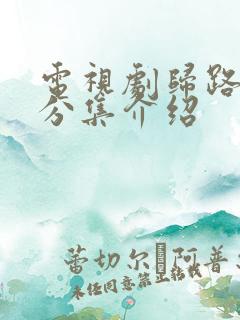 电视剧归路剧情分集介绍