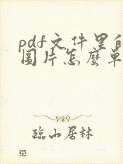pdf文件里的图片怎么单独取出