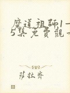 魔道祖师1—35集免费观看