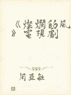 《灿烂的风和海》电视剧