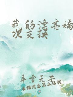 我的漂亮娇妻初次交换