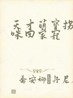 天才萌宝拐个妈咪回家宠