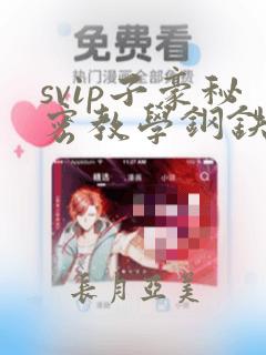 svip子豪秘密教学钢铁网