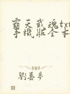 霸天武魂txt手机版全本txt