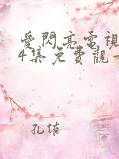 爱闪亮电视剧84集免费观看