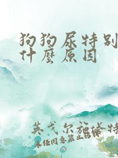狗狗尿特别黄是什么原因