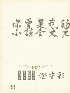 你曾是我的唯一小说全文免费阅读