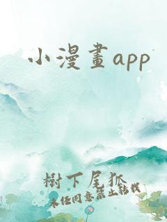小漫画app