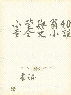 小莹与翁400章全文小说