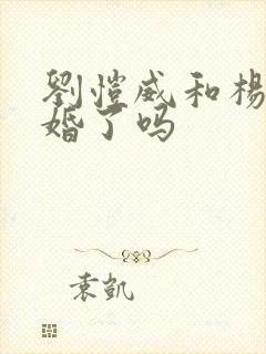 刘恺威和杨幂离婚了吗