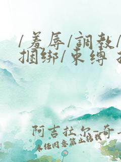 /羞辱/调教/捆绑/束缚 折磨
