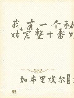 我有一个秘密txt完整+番外