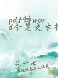 pdf转word全是文本框