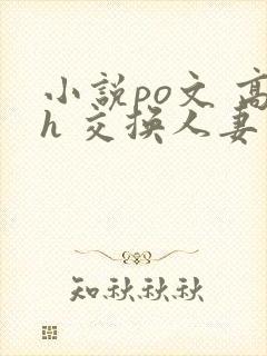 小说po文 高h 交换人妻