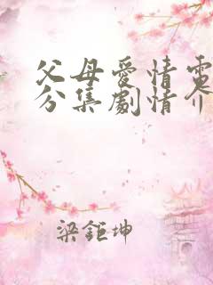 父母爱情电视剧分集剧情介绍