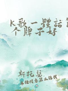 k歌一体话筒哪个牌子好