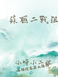 苏联二战狙击手