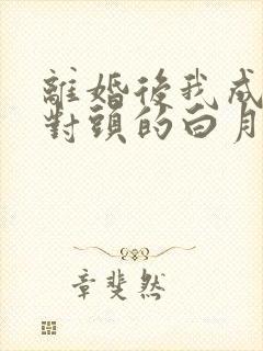离婚后我成了死对头的白月光全文版
