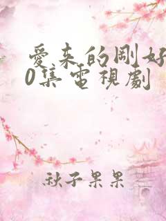 爱来的刚好全60集电视剧