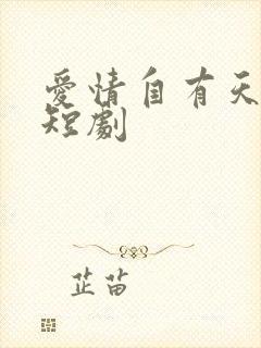 爱情自有天意 短剧
