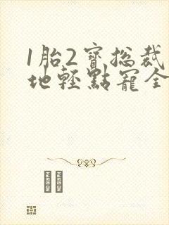 1胎2宝总裁爹地轻点宠全文免费