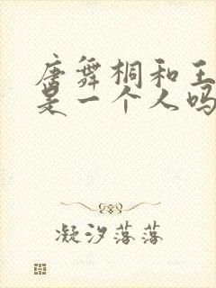 唐舞桐和王冬儿是一个人吗