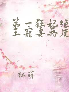 第一狂妃绝色邪王宠妻无度