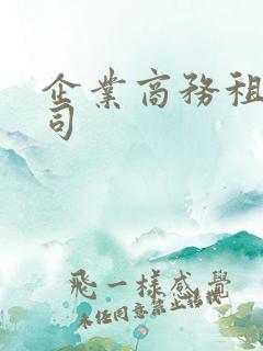 企业商务租车公司