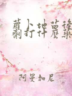 萝卜地苗后除草剂打什么药