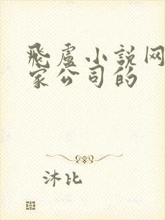 飞卢小说网是哪家公司的