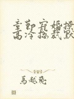 章节宠婚撩人:高冷总裁默默爱